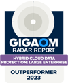 GigaOm Badge 2023_Outperformer-02 GigaOm Badge 2023_Outperformer-02